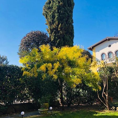 Casa Mimosa Διαμέρισμα Salò Εξωτερικό φωτογραφία